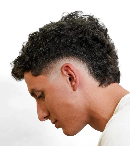 Short Curly Hair with Low Burst Fade